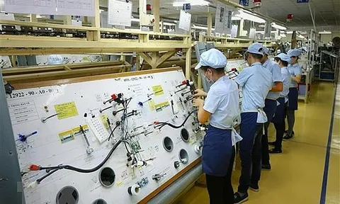 Việt Nam là 1 trong 3 thị trường thu hút các nhà đầu tư tại khu vực ASEAN