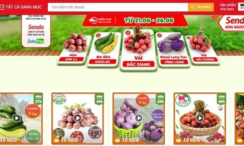 Các Sàn thương mại điện tử sẵn sàn cung ứng hàng hóa cho thị trường phía Nam