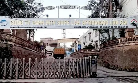 Lào Cai: Phạt 100 triệu đồng và ngừng dây chuyền sản xuất phân bón xả khí thải độc hại ra môi trường