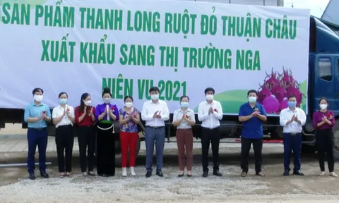 Thanh long Sơn La lên đường sang thị trường Nga