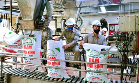 Vinachem: Doanh thu 8 tháng đầu năm 2021 tăng 29,1%, giá trị sản xuất công nghiệp tăng 29% so với cùng kỳ năm 2020