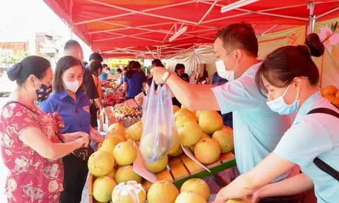 Kết nối, tiêu thụ nông sản, sản phẩm OCOP các tỉnh bị ảnh hưởng dịch Covid-19