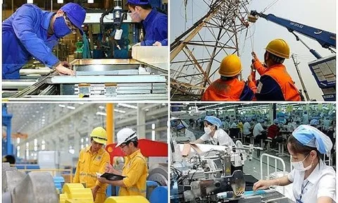 Chính sách đối với người lao động dôi dư khi sắp xếp lại công ty TNHH MTV do Nhà nước nắm giữ 100% vốn điều lệ