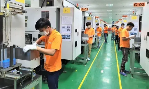 Chính sách hỗ trợ người lao động và người sử dụng lao động bị ảnh hưởng bởi đại dịch COVID-19 từ Quỹ bảo hiểm thất nghiệp