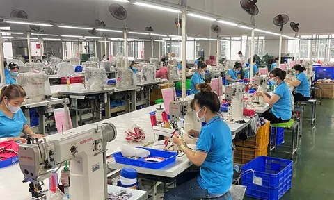 Quyết định của Chính phủ về thực hiện chính sách hỗ trợ người lao động và người sử dụng lao động bị ảnh hưởng bởi đại dịch COVID-19 từ Quỹ BHTN