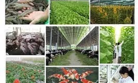 Ngân sách Nhà nước ưu tiên hỗ trợ phát triển sản xuất giống cây trồng, vật nuôi chủ lực quốc gia