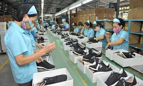 Ảnh hưởng của dịch Covid -19, tháng 8 xuất khẩu da giày giảm 38,2%