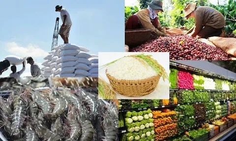 Thủ tướng Chính phủ chỉ đạo thúc đẩy sản xuất, lưu thông, xuất khẩu nông sản