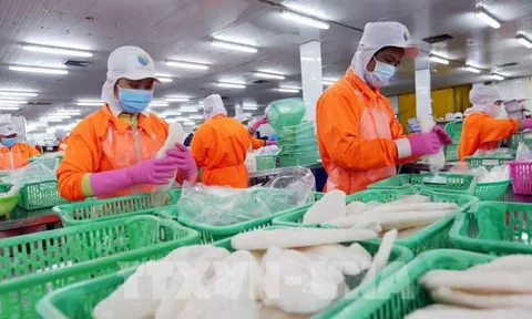 Cần Thơ: Hướng dẫn tạm thời phương án sản xuất, kinh doanh