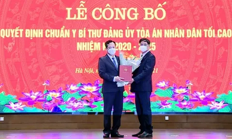 Trao quyết định chuẩn y Bí thư Đảng ủy; bổ nhiệm Chánh Văn phòng TANDTC