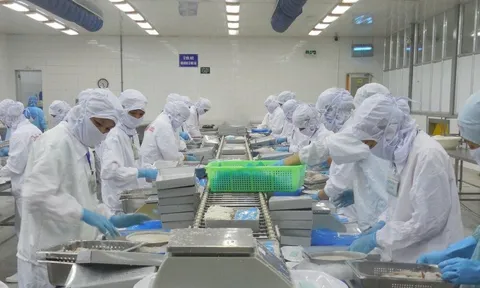 Sản xuất và tiêu dùng bền vững thích ứng với đại dịch Covid-19: Đà Nẵng giữ môi trường “xanh” ngay trong “vùng đỏ”