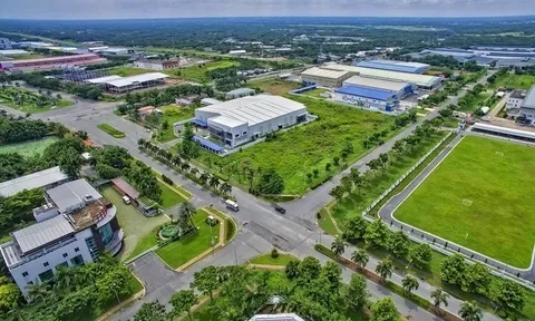 Giảm 30% tiền thuê đất năm 2021 cho các đối tượng bị ảnh hưởng bởi dịch COVID-19