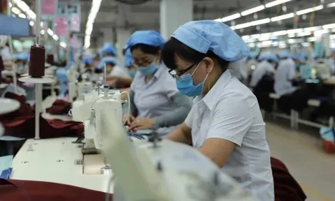 Hỗ trợ người lao động, người sử dụng lao động bị ảnh hưởng bởi dịch Covid-19