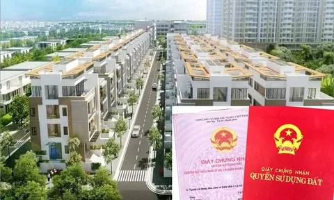 Phát triển thị trường bất động sản bao gồm thị trường quyền sử dụng đất