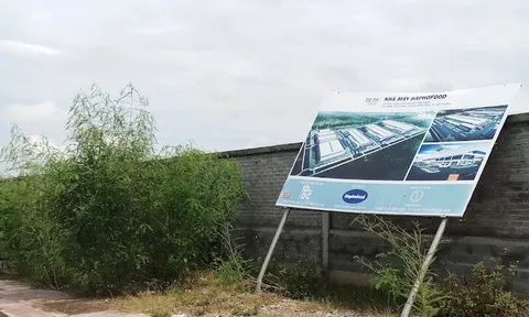 Sau 2 năm khởi công, dự án nghìn tỷ Haphofood tại Hải Phòng dừng hoạt động