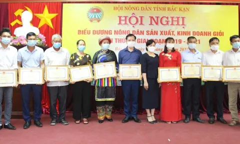 Bắc Kạn: Biểu dương nông dân sản xuất kinh doanh giỏi