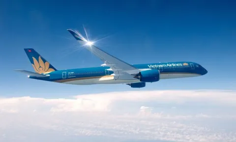 Giải ngân 6.894,9 tỷ đồng mua cổ phiếu Vietnam Airlines