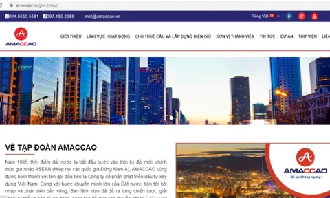 Tập đoàn AMACCAO: Báo cáo tài chính không công khai, hệ sinh thái của tập đoàn AMACCAO làm ăn ra sao?