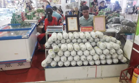 Bắc Kạn: Đẩy mạnh xúc tiến thương mại nâng cao hoạt động xuất - nhập khẩu