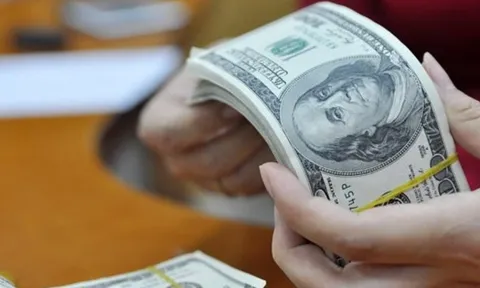 Cho phép sử dụng vốn vay nước ngoài để thanh toán thuế theo quy định trong Hiệp định vay