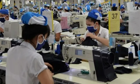 Tiền Giang: Doanh nghiệp FDI cầu cứu Chính phủ