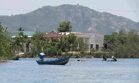 Bình Định: Phê duyệt 1/500 Khu vực phía Đông đầm Thị Nại