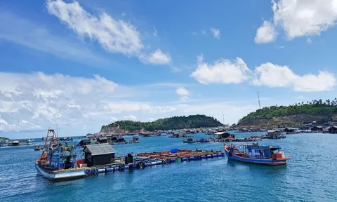 Quy định cụ thể về mức thu tiền sử dụng khu vực biển