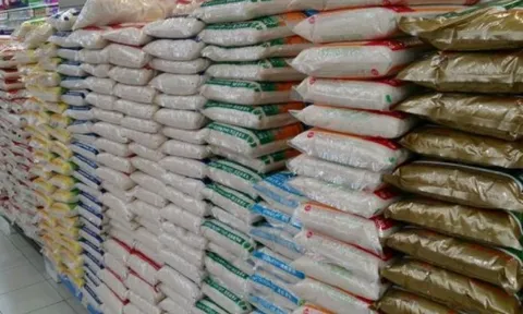 Đột kích 1 nhà máy sản xuất gạo giả, cảnh sát bắt giữ 1 người, tịch thu hơn 200 tấn sản phẩm và nguyên liệu thô cùng toàn bộ dây chuyền chế biến