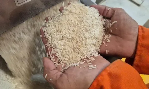 Việt Nam nhập gạo nhiều thứ 2 thế giới