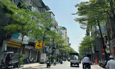 Thời tiết miền Bắc những ngày tới