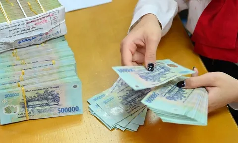 Đạm Cà Mau, "trùm" nuôi lợn Dabaco... báo lãi cả nghìn tỷ đồng