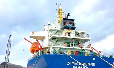 Lý do một tàu hàng từ Trung Quốc đến Quy Nhơn bị bắt giữ