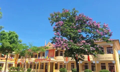 Khởi tố nam sinh lớp 11 đánh học sinh lớp 9 tử vong