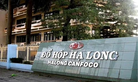 Vụ 130 tấn thịt lợn bệnh: Novaland sở hữu gián tiếp cổ phần Đồ hộp Hạ Long