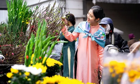 Miền Bắc liên tục đón không khí lạnh, Tết Nguyên đán liệu có rét đậm?