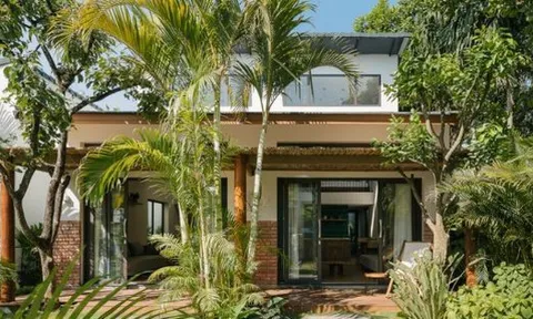 6 loại cây được người xưa khuyên nên trồng vào đầu năm để cầu công danh, tài lộc