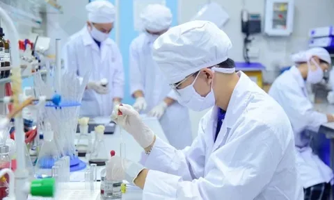 Hà Nội thu hút người tài, hỗ trợ 1.000 lần mức lương cơ sở