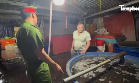 Kinh hoàng đường dây 'phù phép' 3.000 tấn thịt ốc bằng hóa chất công nghiệp