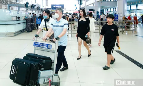 Chưa ghi nhận ca nhiễm virus Nipah, Việt Nam tăng cường giám sát