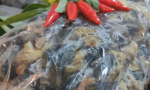 Triệt phá ‘xưởng’ dùng hoá chất ngâm 3 tấn thịt ốc bán ra thị trường: Natri silicate độc hại thế nào?