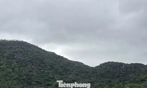 Sức khoẻ của phi công trong vụ rơi máy bay quân sự ở vùng núi Đắk Lắk