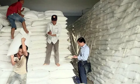 Hơn 4.100 tấn gạo từ kho dự trữ quốc gia hỗ trợ 5 tỉnh dịp Tết và giáp hạt