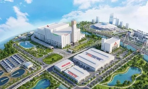 AMACCAO và dấu ấn gắn liền với Hà Nội trên hành trình phát triển đột phá