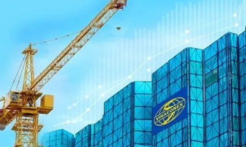 Vinaconex sắp bị thanh tra: Ai sở hữu, ai là chủ nợ?