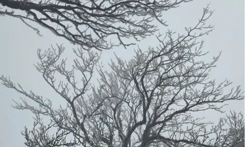 Dự báo thời tiết 29/1: Không khí lạnh tăng cường tràn về, miền Bắc sắp bước vào đợt rét diện rộng