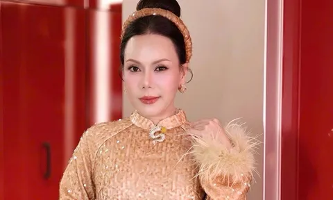 Việt Hương nộp đơn tố giác hành vi vu khống, sức khỏe suy nhược vì áp lực