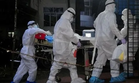 Virus Nipah nguy hiểm: Mối đe dọa âm ỉ khiến nhiều nước trên thế giới luôn trong trạng thái cảnh giác