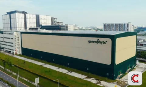 Kỳ tích của 1 'trùm nông nghiệp' ĐNÁ: Xây trang trại trong nhà cao nhất thế giới, công suất 2.000 tấn rau/năm, robot tự gieo hạt, chỉnh nhiệt