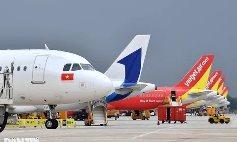 SunGroup đến, Vietravel đi: Hàng không vào cuộc đua sàng lọc khốc liệt