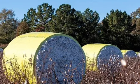 Việt Nam sở hữu 'mỏ vàng' gì mà thu gần 40 tỷ USD năm qua: Mỹ liên tục săn lùng, nước ta là ‘trùm’ đứng thứ 3 thế giới